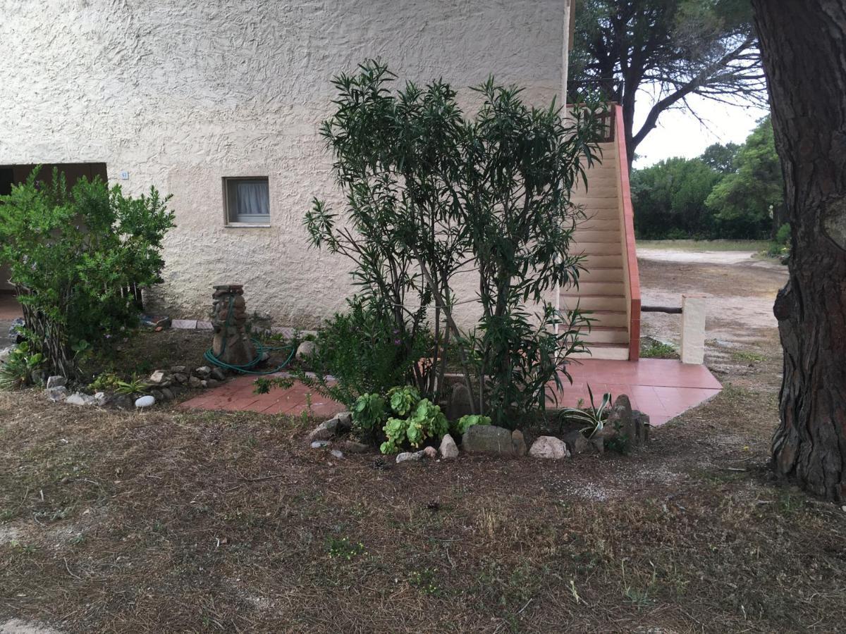 Monolocale A Rena Majore Di Gallura Exterior photo